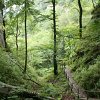 Meine Fotos-0004